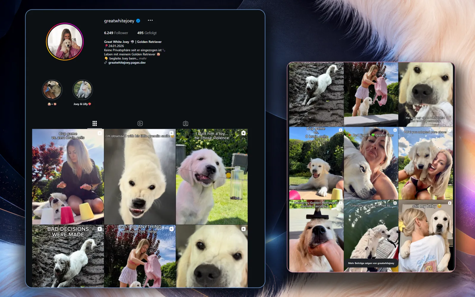 Social Content & Markenwelt